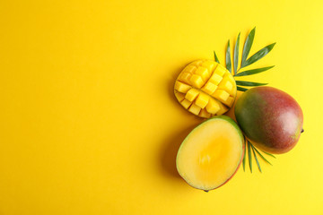 Cut ripe mangoes and space for text on color background, top view