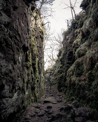 Path through the gorge