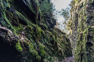 Moss covered rocks in the gorge