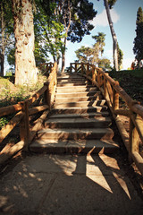 Wooden staircase in the park