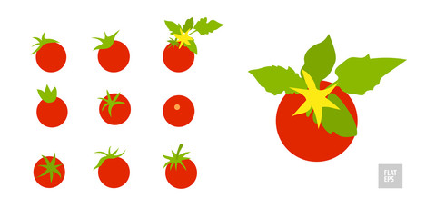 Tomatoes on a white background set. Very simple flat style. Different tomatoes in assortment with leaves and yellow flowers. Can be used as an icon, symbol, and in other simple visualizations.