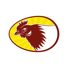 Chicken egg sign with chicken on white background.