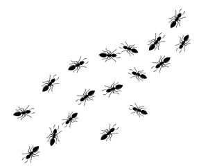 Ant Logo template vector illustration
