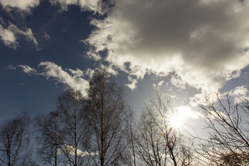 the sun's rays in the sky through the branches of trees