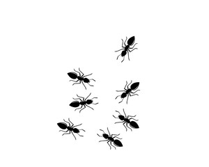 Ant Logo template vector illustration