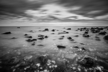 landscape and wildlife workshop and coaching