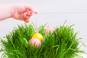 A child take pastel egg from grass by rope. Copy space