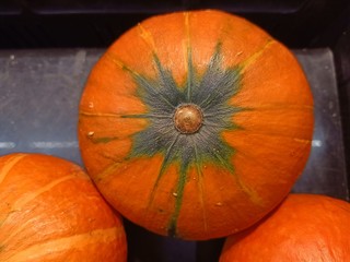 Orange pumpkin, sold in department stores6
