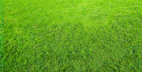 Landscape of grass field in green public park use as natural background or backdrop. Green grass texture from a field. Stadium grass background.