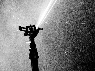 Sprinkler watering in garden black and white style