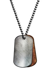 chrome and rusty metal tag and necklace.