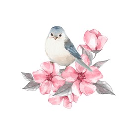 Bird and flowers. Watercolor painting