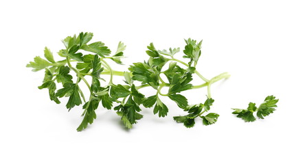 Fresh green parsley leaves isolated on white background 
