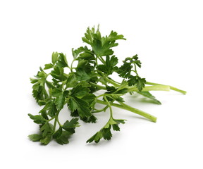 Fresh green parsley leaves isolated on white background 