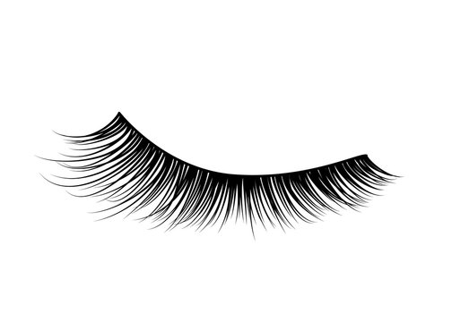 Black detailed eyelashes on white