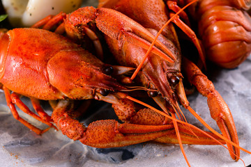Boiled crawfish on black background. Cooking crayfish, appetizing protein