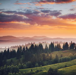 Misty alpine highlands in sunny day. Location Carpathian national park, Ukraine, Europe.