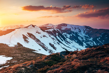Naklejka na ściany i meble Scenic image of the wilderness area. Location Carpathian national park, Ukraine, Europe.