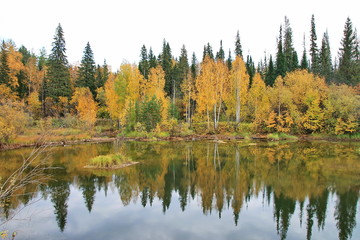 reflection of trees in lake