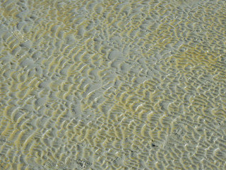 Wetlands texture