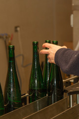 in a winery automatically filled bottles are taken off from the filling station