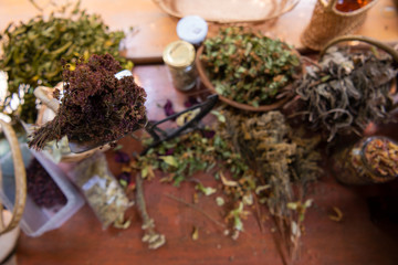 herbalist workshop