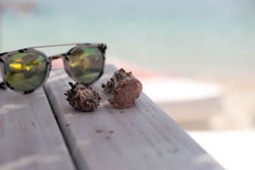 Seashells 