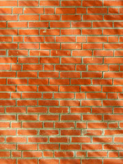 Obraz premium shadow of leaf tree on brick wall background