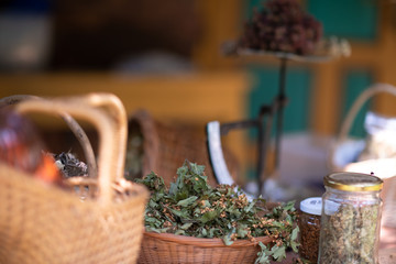 herbalist workshop