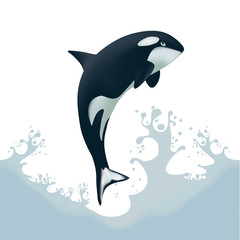 Killer Whale (Orcinus Orca) - jumping out of the water with splash - Realistic illustration -  digital ecological background – endangered spices