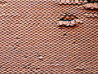 damage old tile roof