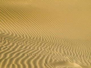 Obraz premium Sand desert dune texture made by wind