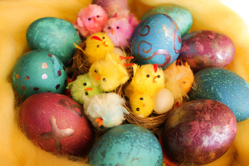 easter eggs on white background