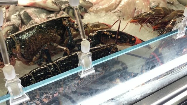 Tasty live Lobsters