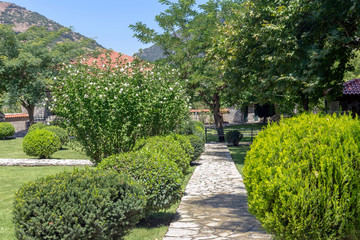 Obraz premium Lawns, shrubs and trees in the park