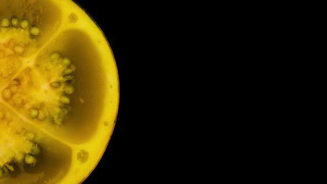 Macro shooting, solanum quitoense naranjilla fruit sliced in half rotating on the black background, half filled frame.
