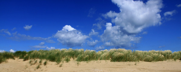 Sand dunes and sea grass against a cloudy blue sky