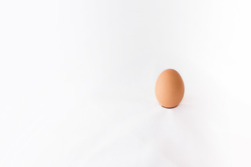 Perfect chicken egg on white cloth background.