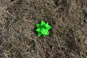 winter and spring cr2019darrelljbanks