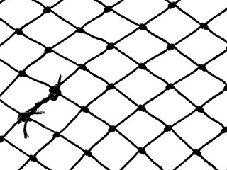 Fototapeta premium silhouette net pattern and background