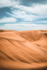 Fototapeta na wymiar Dunes of Maspalomas