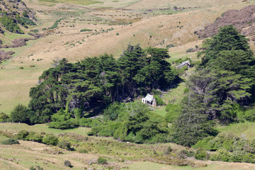 Naklejka premium Scenic view of the countryside in the Otago Peninsula