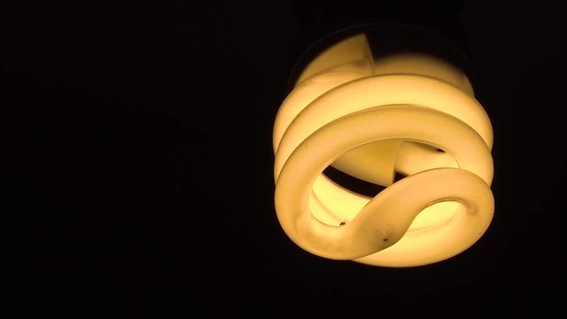 Light bulb turned on in total darkness