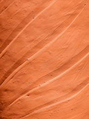 earthenware texture
