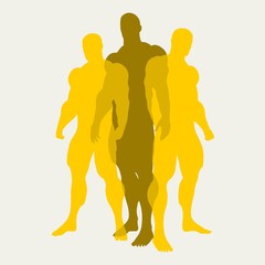 The collection of 3 body building silhouette. Overlay effect. Sport and recreation concept