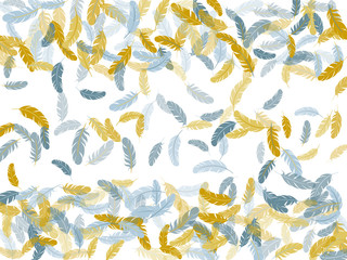 Detailed majestic feather on white design.