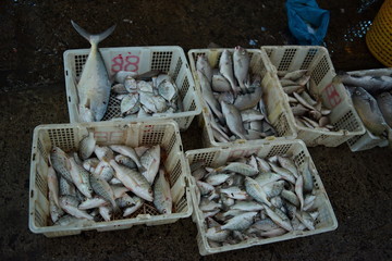 Malaysia. island of Borneo. Freshly caught fish and seafood at the fish market in Sandakan.