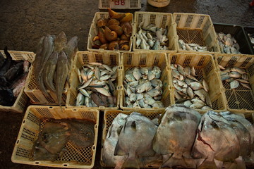 Malaysia. island of Borneo. Freshly caught fish and seafood at the fish market in Sandakan.
