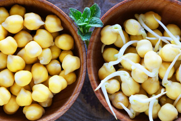 Whole and sprouted chickpea grains lie in plates. For a healthy lifestyle grains are germinated. Selective focus 