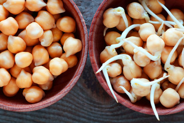 Whole and sprouted chickpea grains lie in plates. For a healthy lifestyle grains are germinated. Selective focus 